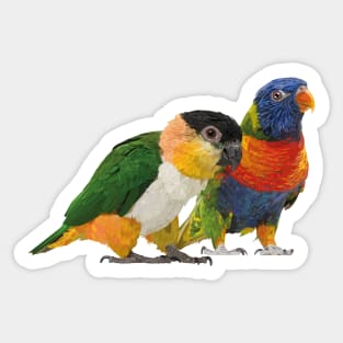 Caique and Lori Sticker